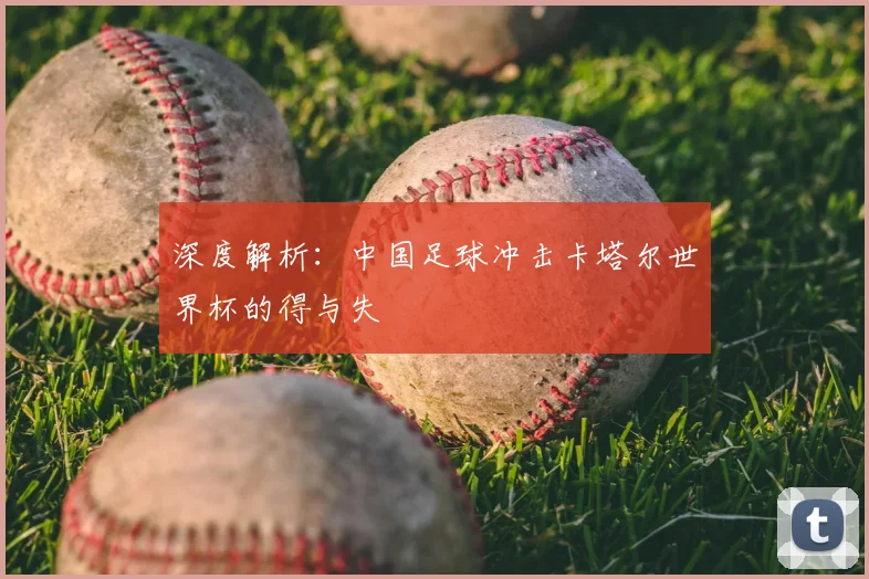 深度解析:中国足球冲击卡塔尔世界杯的得与失
